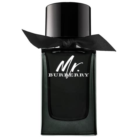 mister burberry 30 ml|mr burberry eau de parfum.